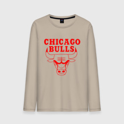 Мужской лонгслив хлопок Chicago Bulls