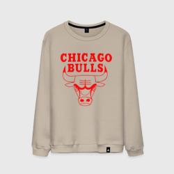 Мужской свитшот хлопок Chicago Bulls