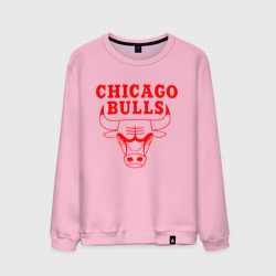 Мужской свитшот хлопок Chicago Bulls