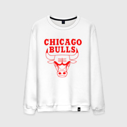 Мужской свитшот хлопок Chicago Bulls