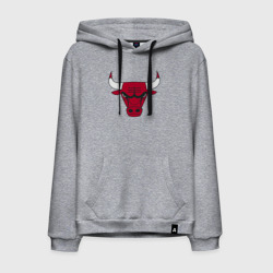 Мужская толстовка хлопок Chicago Bulls