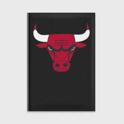 Ежедневник Chicago Bulls