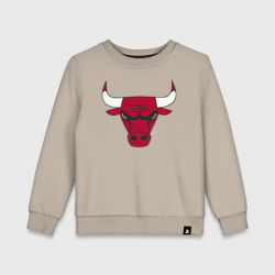 Детский свитшот хлопок Chicago Bulls