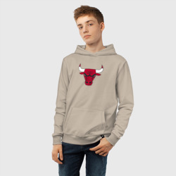 Детская толстовка хлопок Chicago Bulls - фото 2