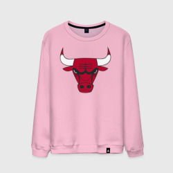 Мужской свитшот хлопок Chicago Bulls