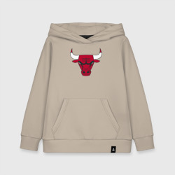 Детская толстовка хлопок Chicago Bulls