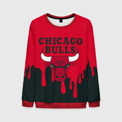 Мужской свитшот 3D Chicago Bulls