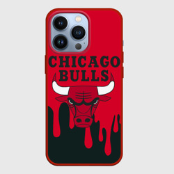 Чехол для iPhone 13 Pro Chicago Bulls