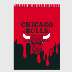 Скетчбук Chicago Bulls