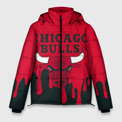 Мужская зимняя куртка 3D Chicago Bulls