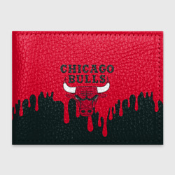 Обложка для студенческого билета Chicago Bulls