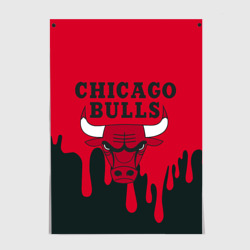 Постер Chicago Bulls