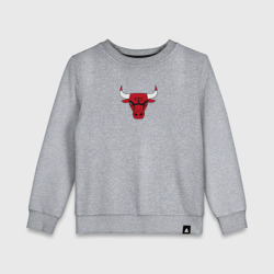 Детский свитшот хлопок Chicago bulls лого