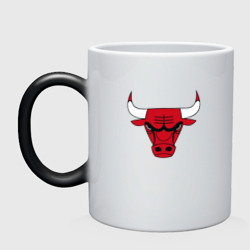 Кружка хамелеон Chicago bulls лого