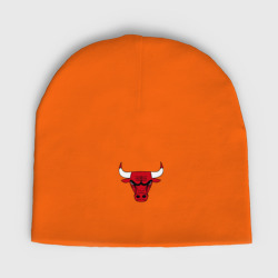 Детская шапка демисезонная Chicago bulls лого