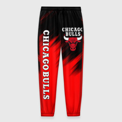 Мужские брюки 3D Chicago bulls Чикаго буллс