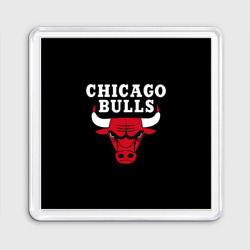 Магнит 55*55 Chicago bulls Чикаго буллс