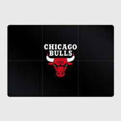 Магнитный плакат 3Х2 Chicago bulls Чикаго буллс