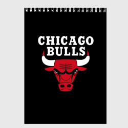 Скетчбук Chicago bulls Чикаго буллс