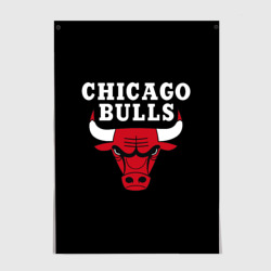 Постер Chicago bulls Чикаго буллс