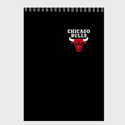 Скетчбук Chicago bulls Чикаго буллс лого на кармашке