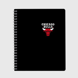 Тетрадь Chicago bulls Чикаго буллс лого на кармашке