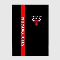 Постер Chicago bulls