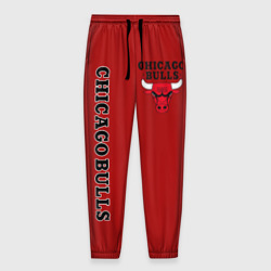 Мужские брюки 3D Chicago bulls Чикаго буллс