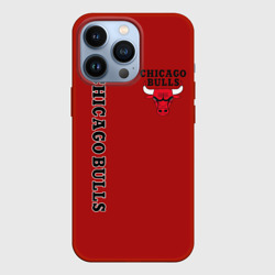 Чехол для iPhone 13 Pro Chicago bulls Чикаго буллс