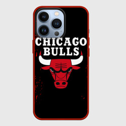 Чехол для iPhone 13 Pro Chicago bulls Чикаго буллс