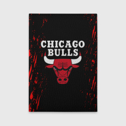 Обложка для автодокументов Chicago bulls Чикаго буллс