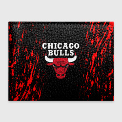 Обложка для студенческого билета Chicago bulls Чикаго буллс