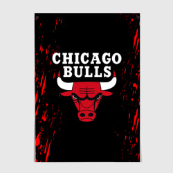 Постер Chicago bulls Чикаго буллс