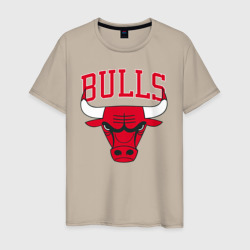 Мужская футболка хлопок Bulls