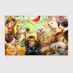 Флаг 3D Коты