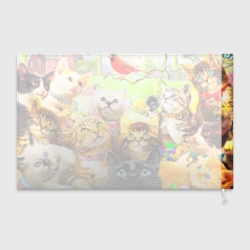 Флаг 3D Коты - фото 2