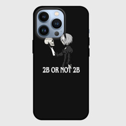 Чехол для iPhone 13 Pro 2B