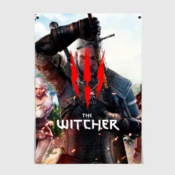 Постер The Witcher