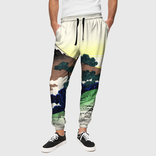 Мужские брюки 3D Япония, цвет 3D печать - фото 4