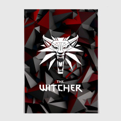 Постер The Witcher