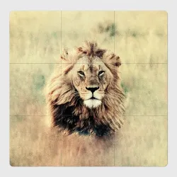Магнитный плакат 3Х3 Lion King