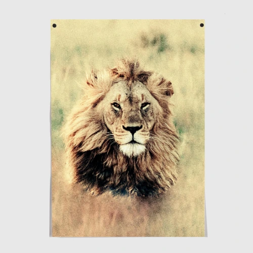 Постер Lion King