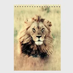 Скетчбук Lion King