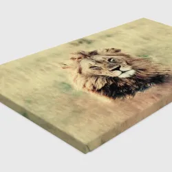 Холст прямоугольный Lion King - фото 2