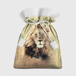 Подарочный 3D мешок Lion King