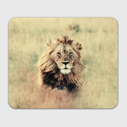 Прямоугольный коврик для мышки Lion King