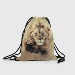 Рюкзак-мешок 3D Lion King