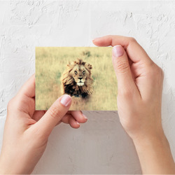Поздравительная открытка Lion King - фото 2