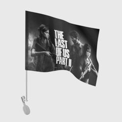 Флаг для автомобиля The Last of Us 2