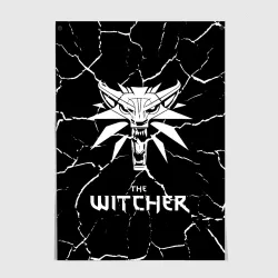 Постер The Witcher